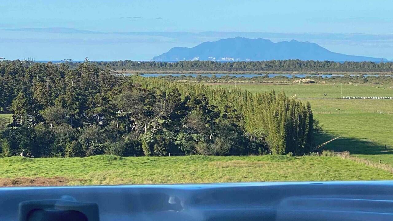 Photo of Outdoor in Tawharanui