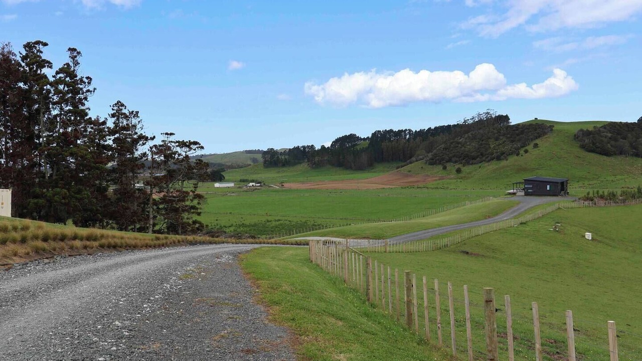 Photo of Others in Tawharanui