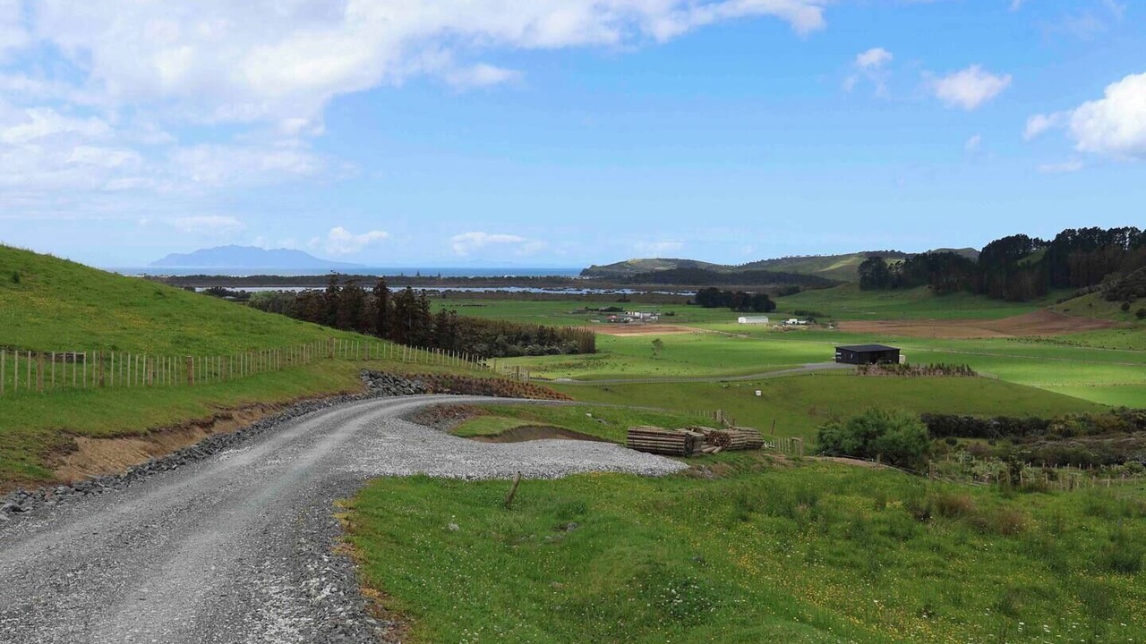 Photo of Others in Tawharanui