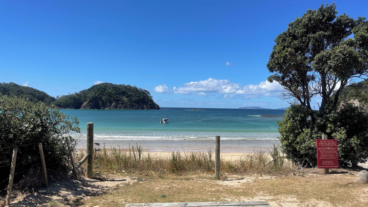 Photo of Others in Tutukaka