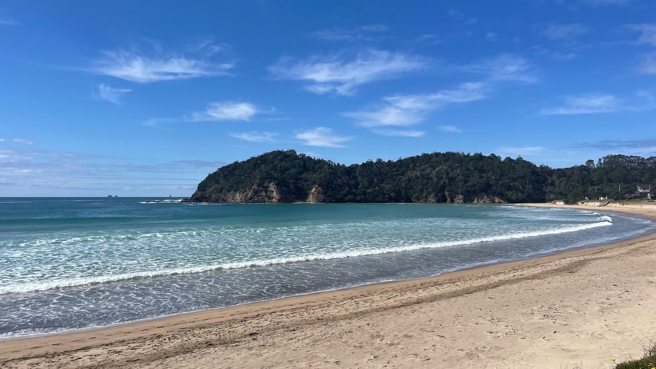 Photo of Others in Tutukaka