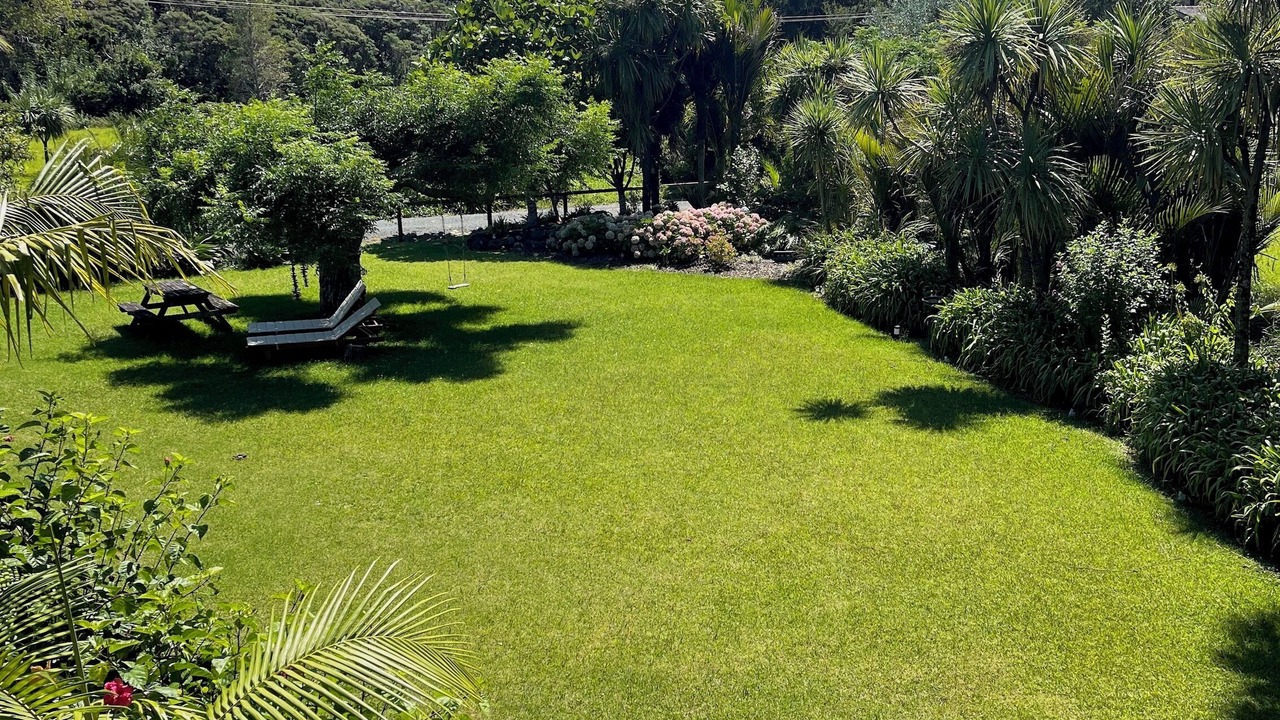 Photo of Outdoor in Tutukaka