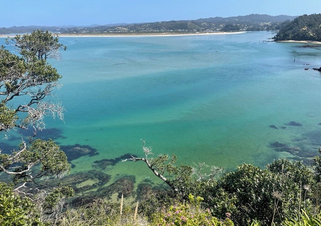 Photo of Others in Tutukaka