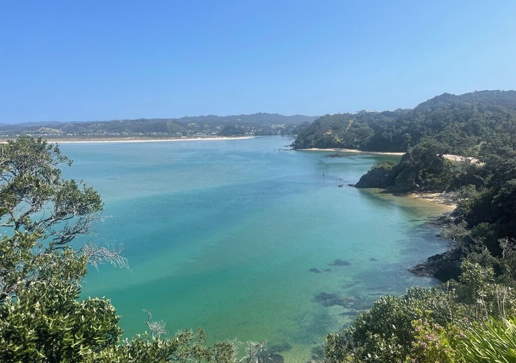 Photo of Others in Tutukaka