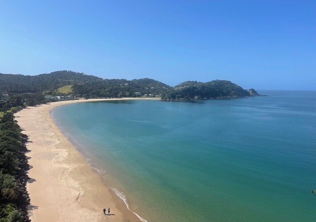 Photo of Others in Tutukaka