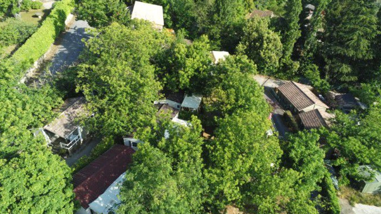 Photo of Outdoor in Ribes