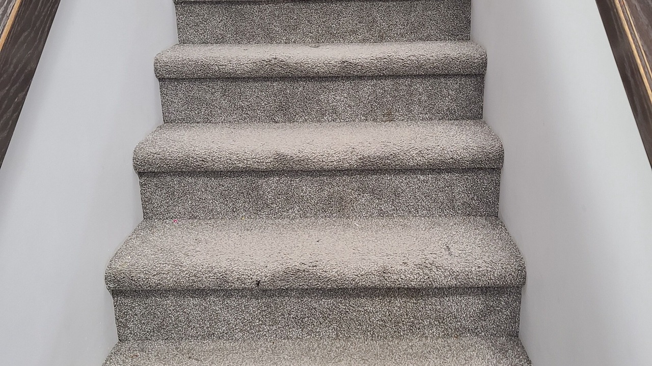 Photo of Others in Winnipeg