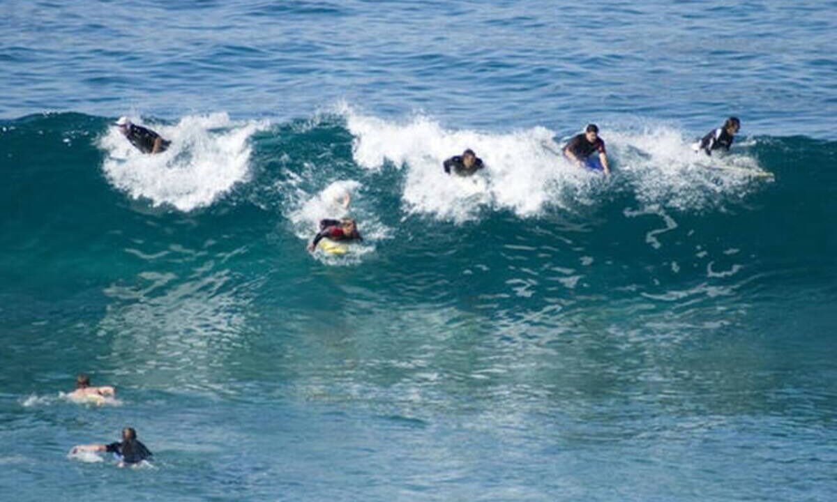 Photo of Others in Bronte