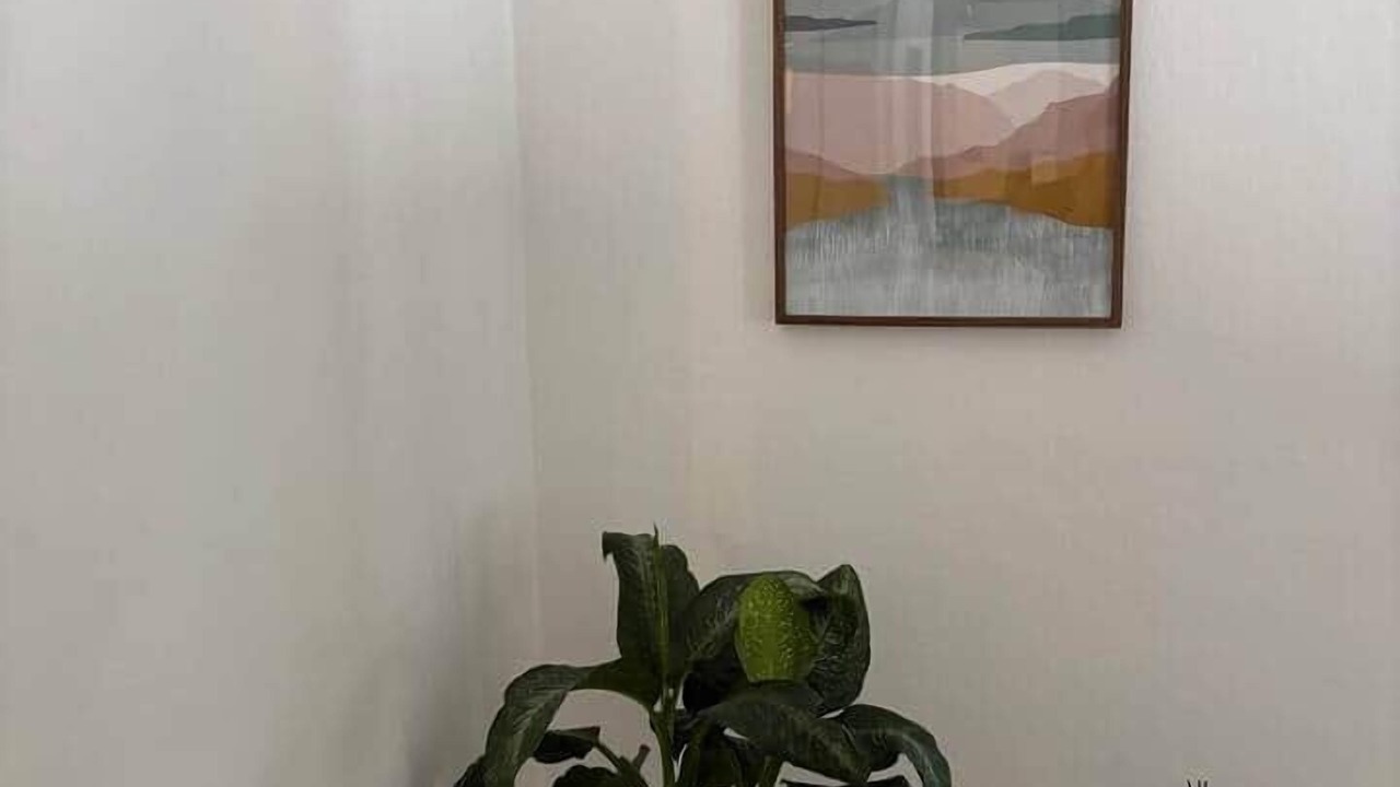 Photo of Others in Saint-Brieuc