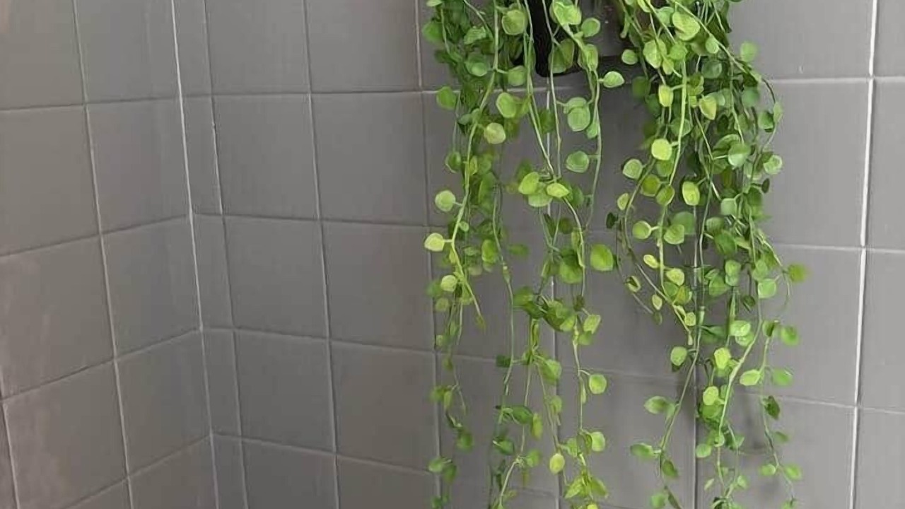 Photo of Others in Saint-Brieuc