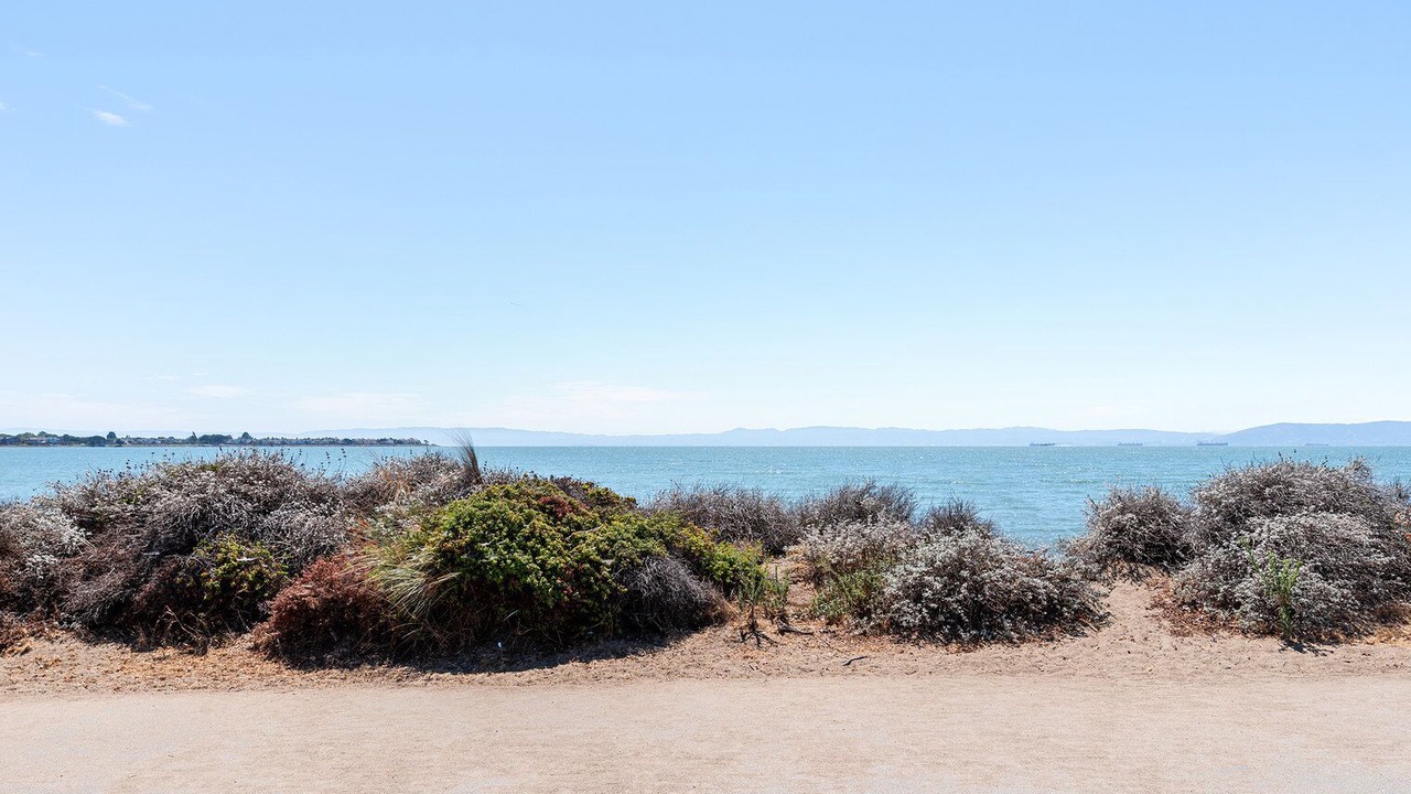 Photo of Others in Alameda