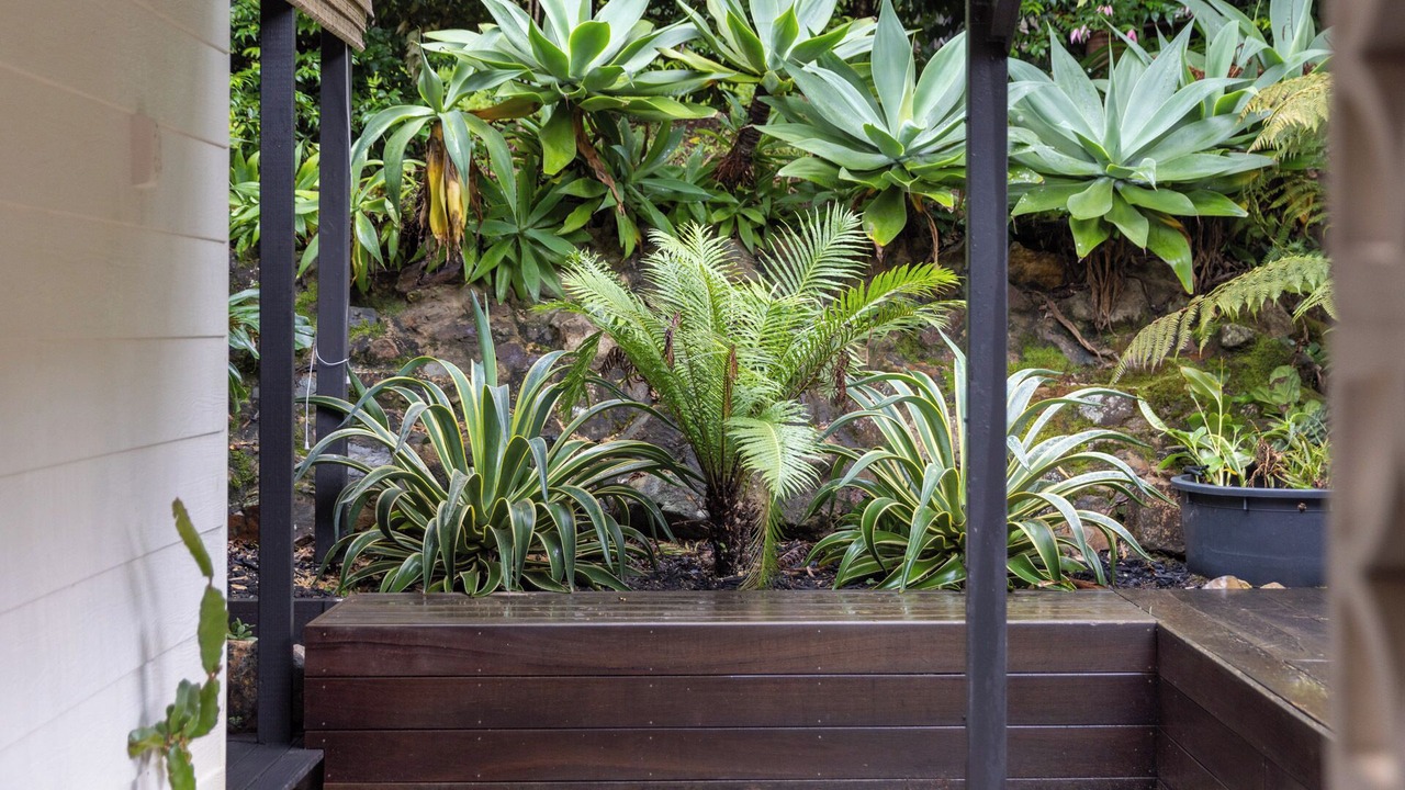 Photo of Outdoor in Emerald Beach