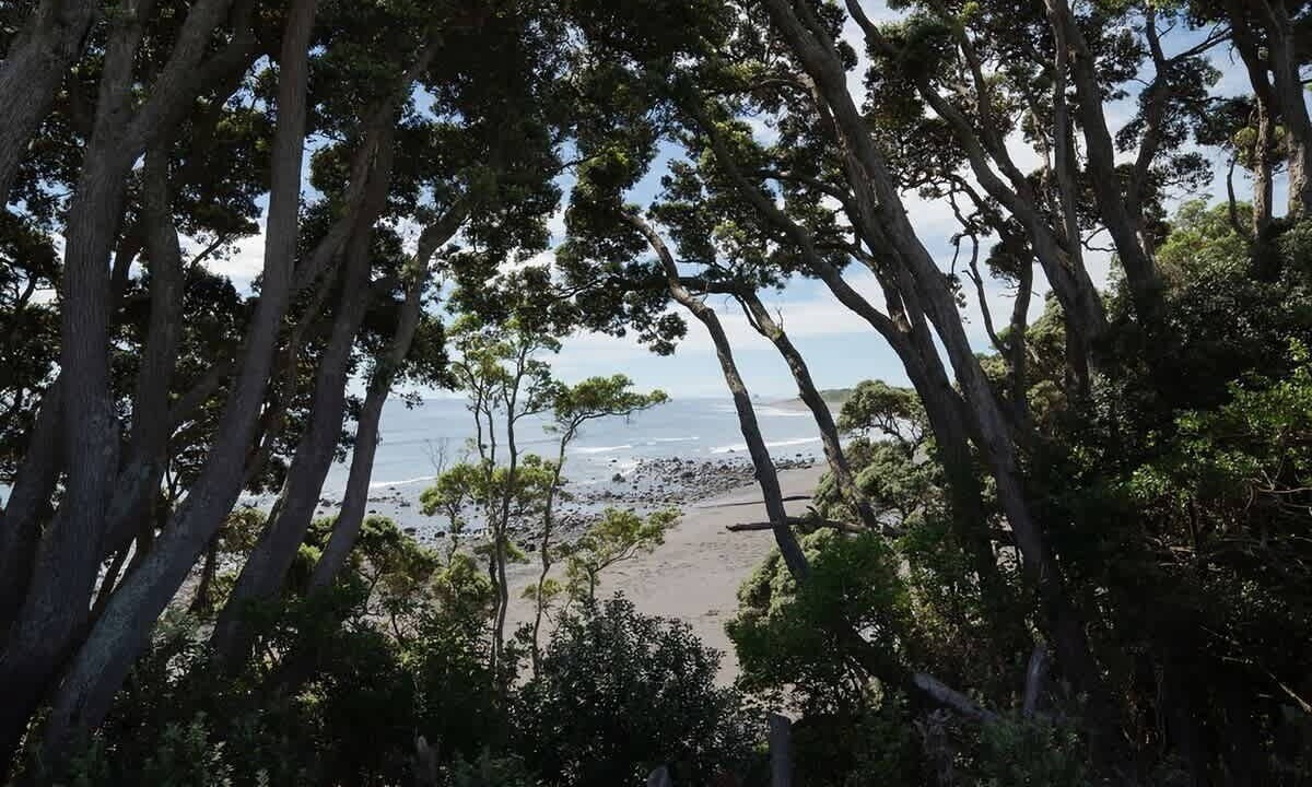 Photo of Others in Pitone