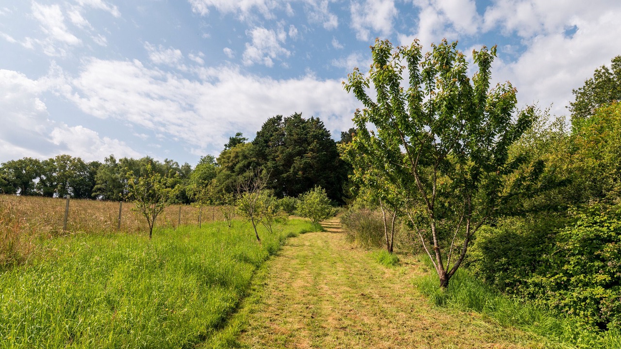 Photo of Others in Pluvigner