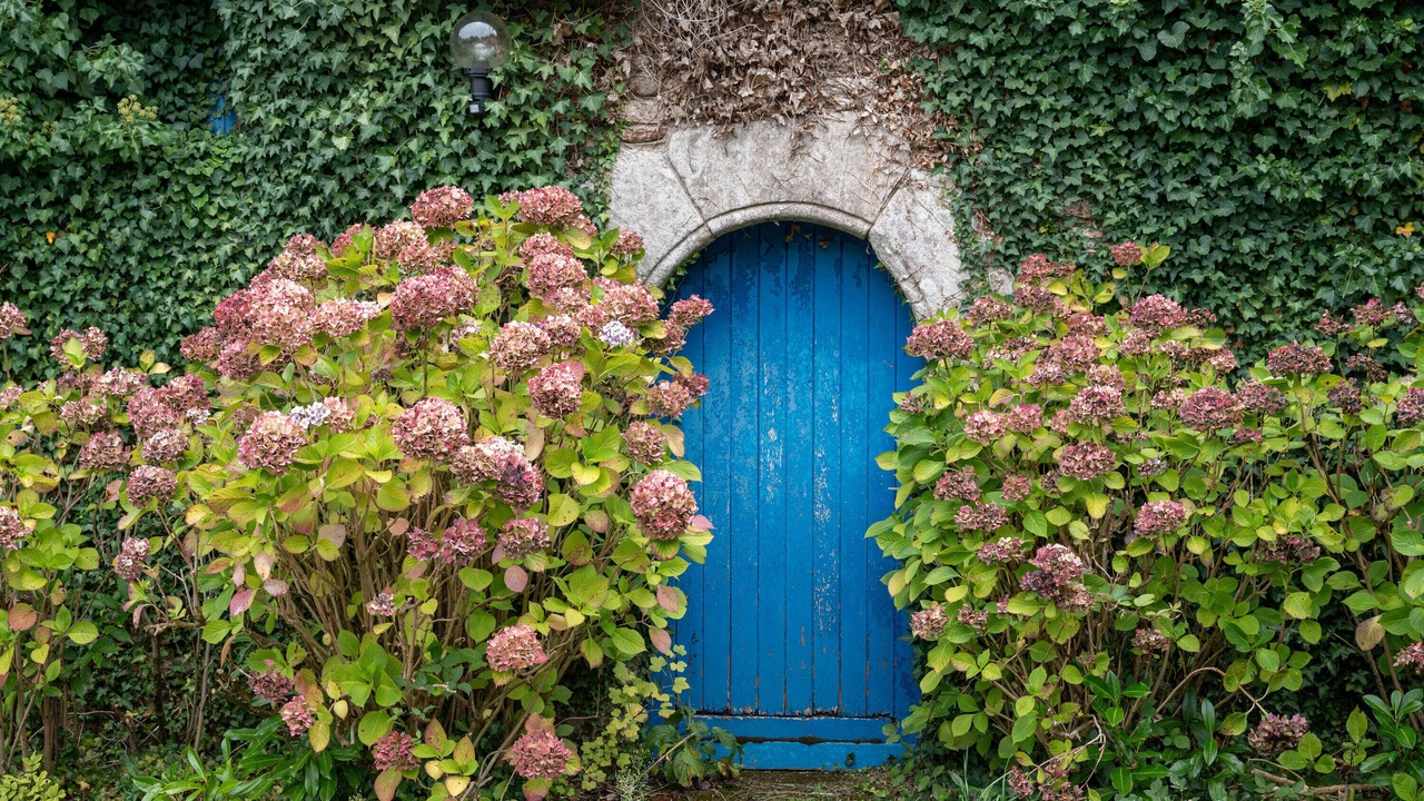 Photo of Outdoor in Pluvigner