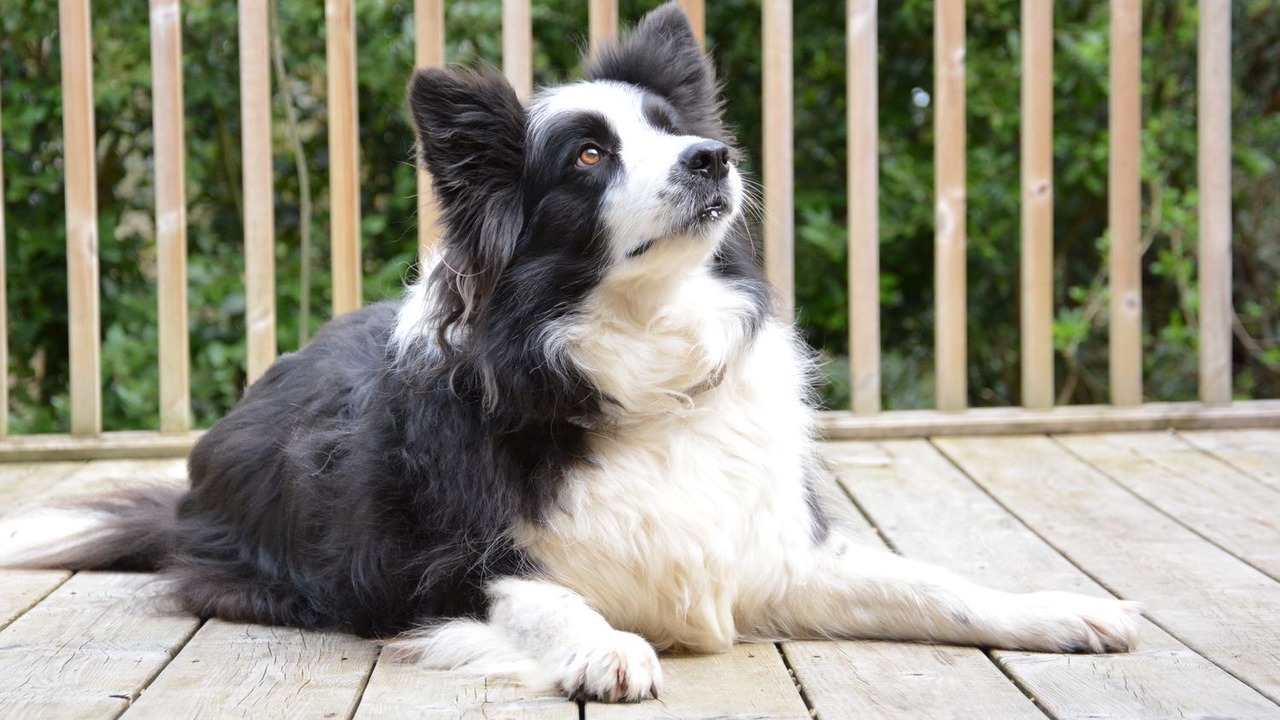 Photo of Outdoor in Woodbridge