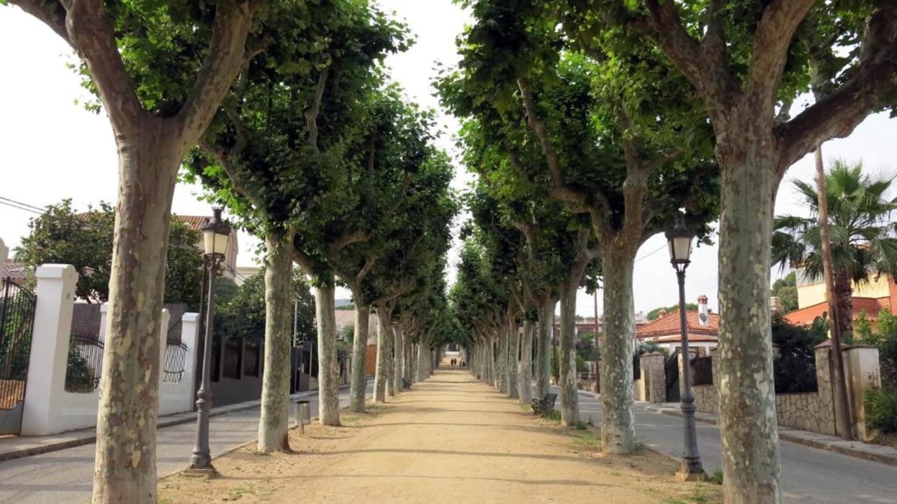 Photo of Others in Canet de Mar