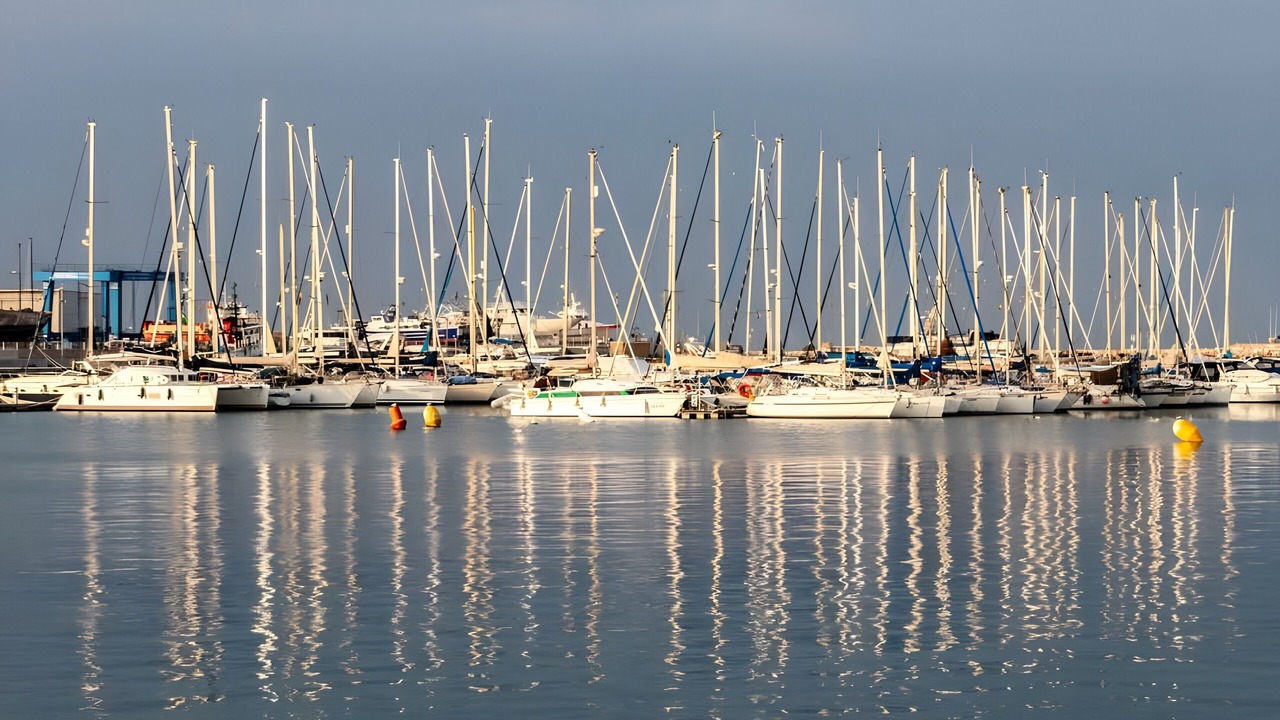 Photo of Others in Vinaros