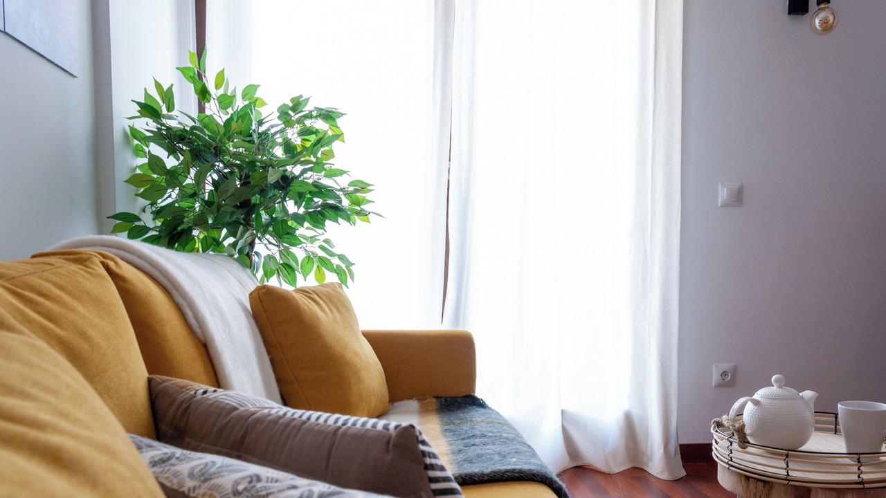 Photo of Livingroom in Puigcerda