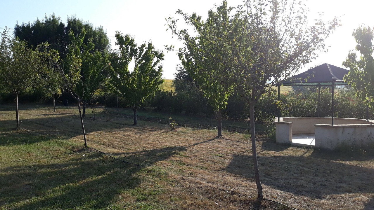 Photo of Outdoor in Vignaux