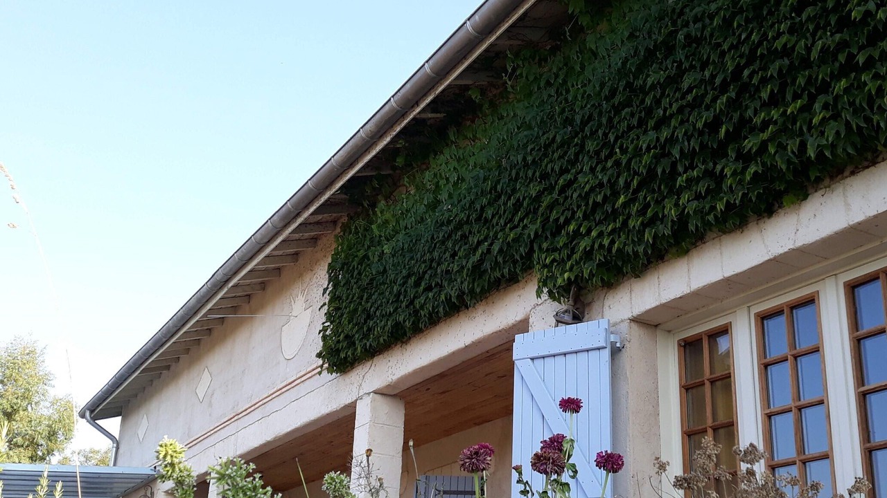 Photo of Outdoor in Vignaux