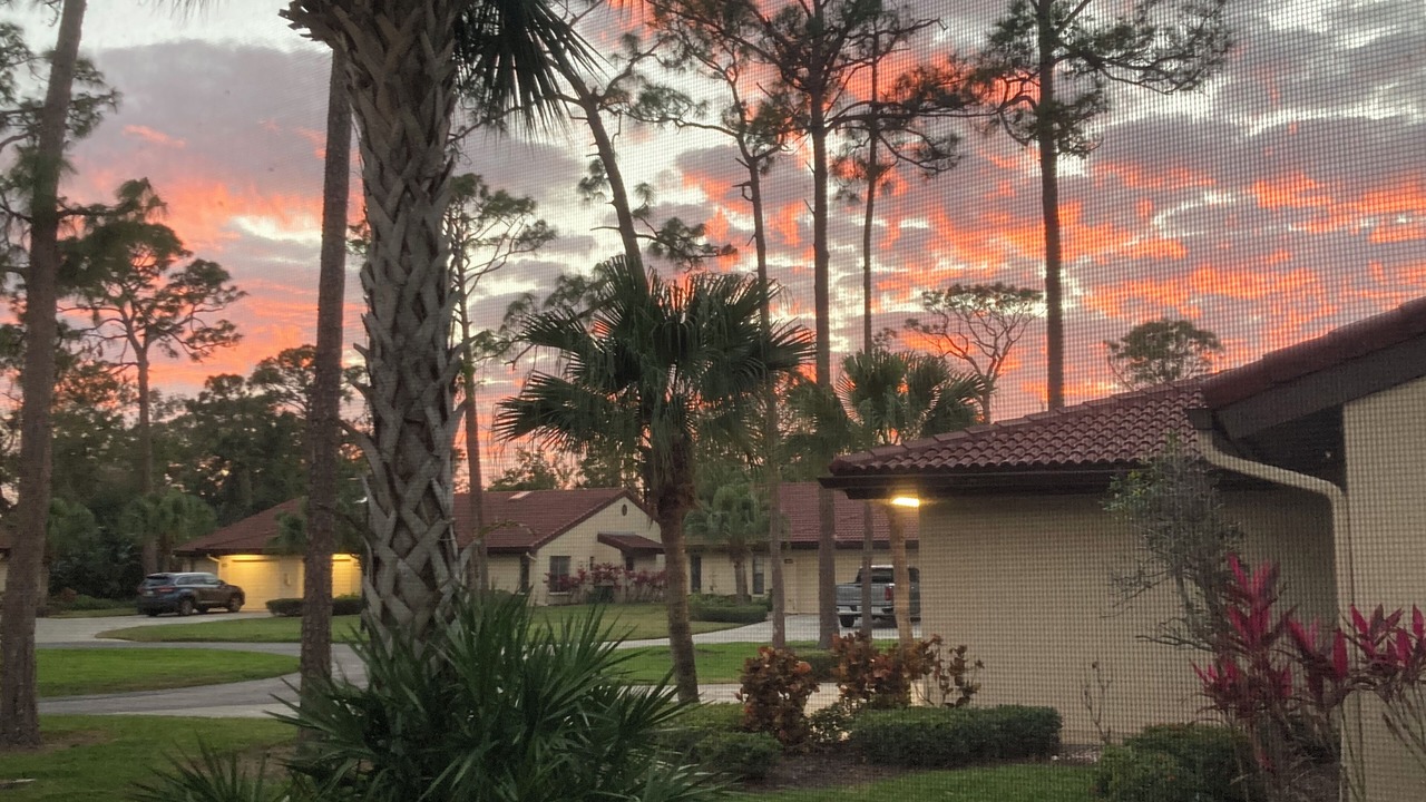 Photo of Outdoor in Gulf Gate Estates