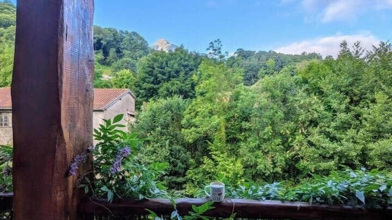 Photo of Outdoor in Milhas