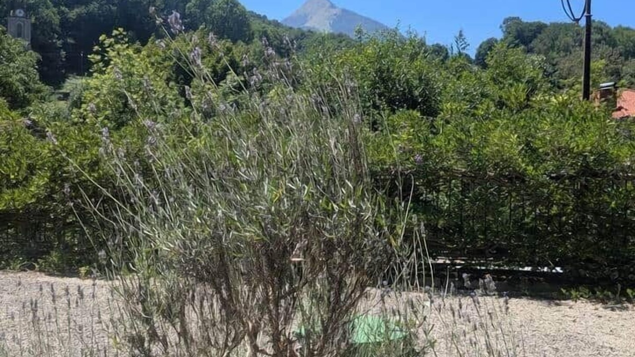 Photo of Outdoor in Milhas