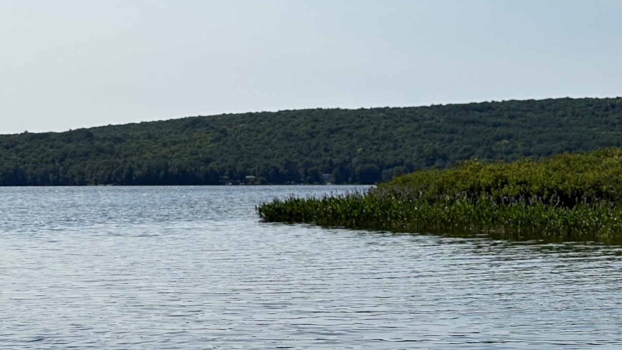 Photo of Others in Nominingue