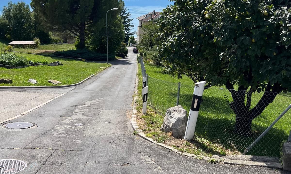 Photo of Outdoor in Chernex