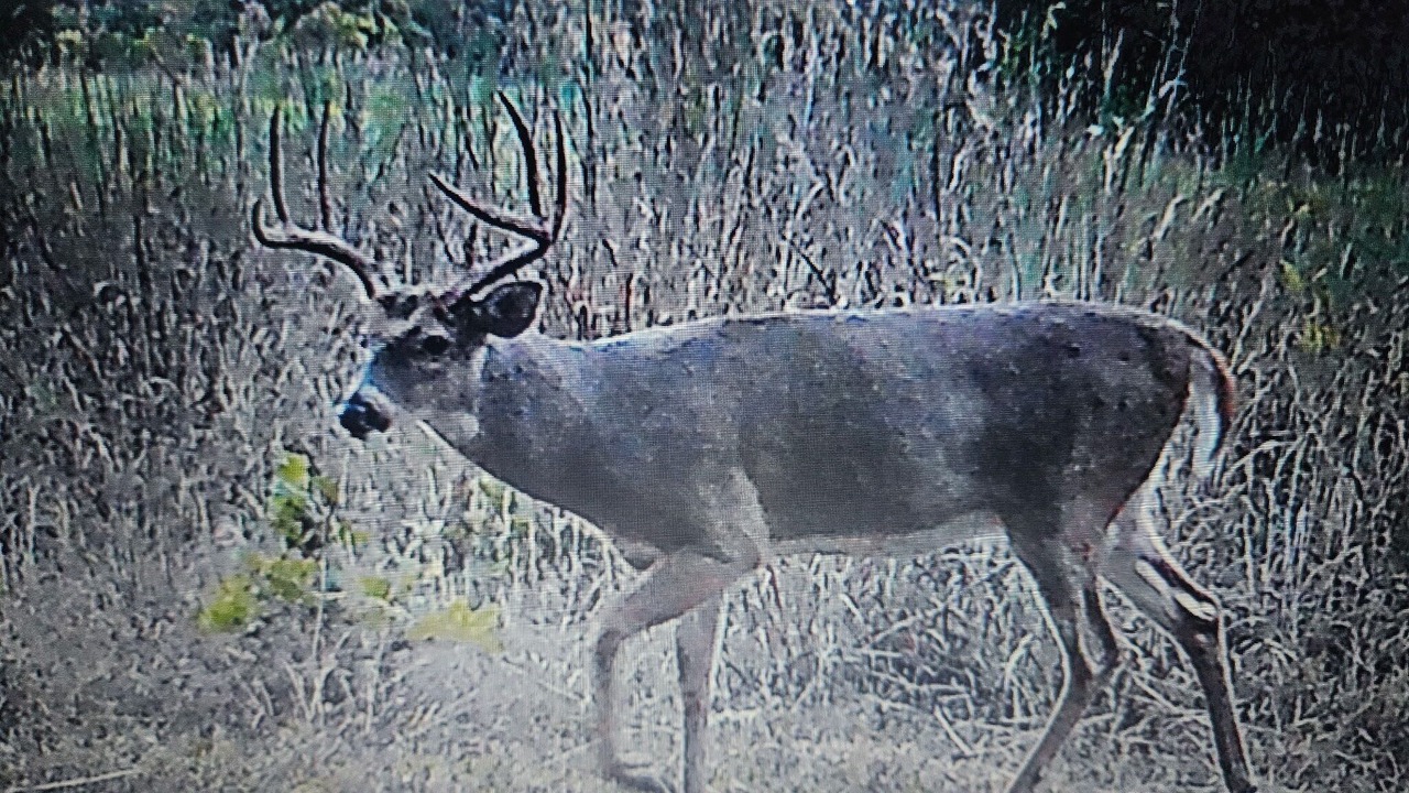 Photo of Others in Olney