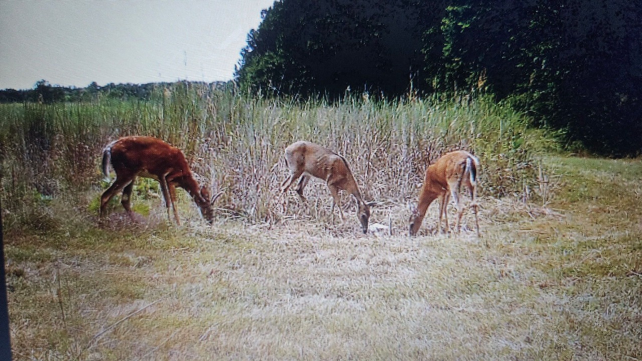 Photo of Others in Olney