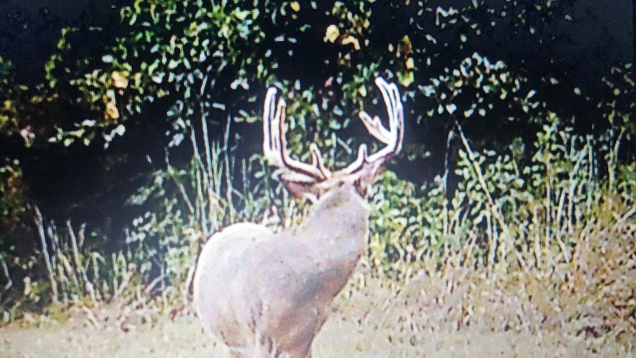 Photo of Others in Olney