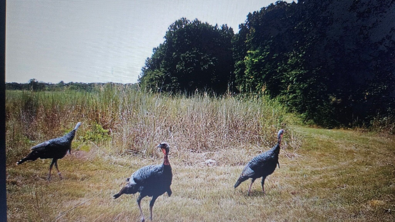 Photo of Others in Olney