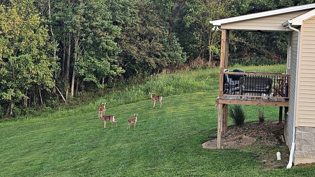 Photo of Outdoor in Scottsville