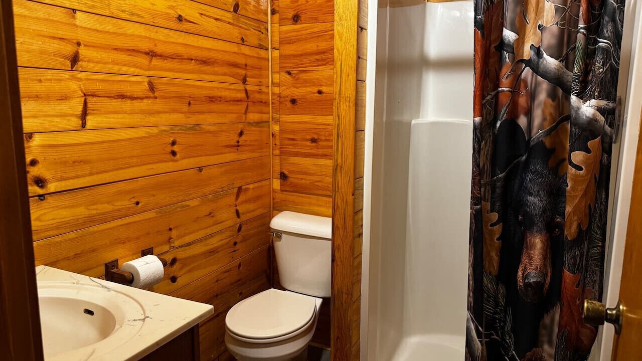 Photo of Bathroom in Crystal Falls