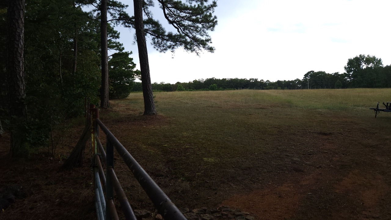 Photo of Others in Ozark