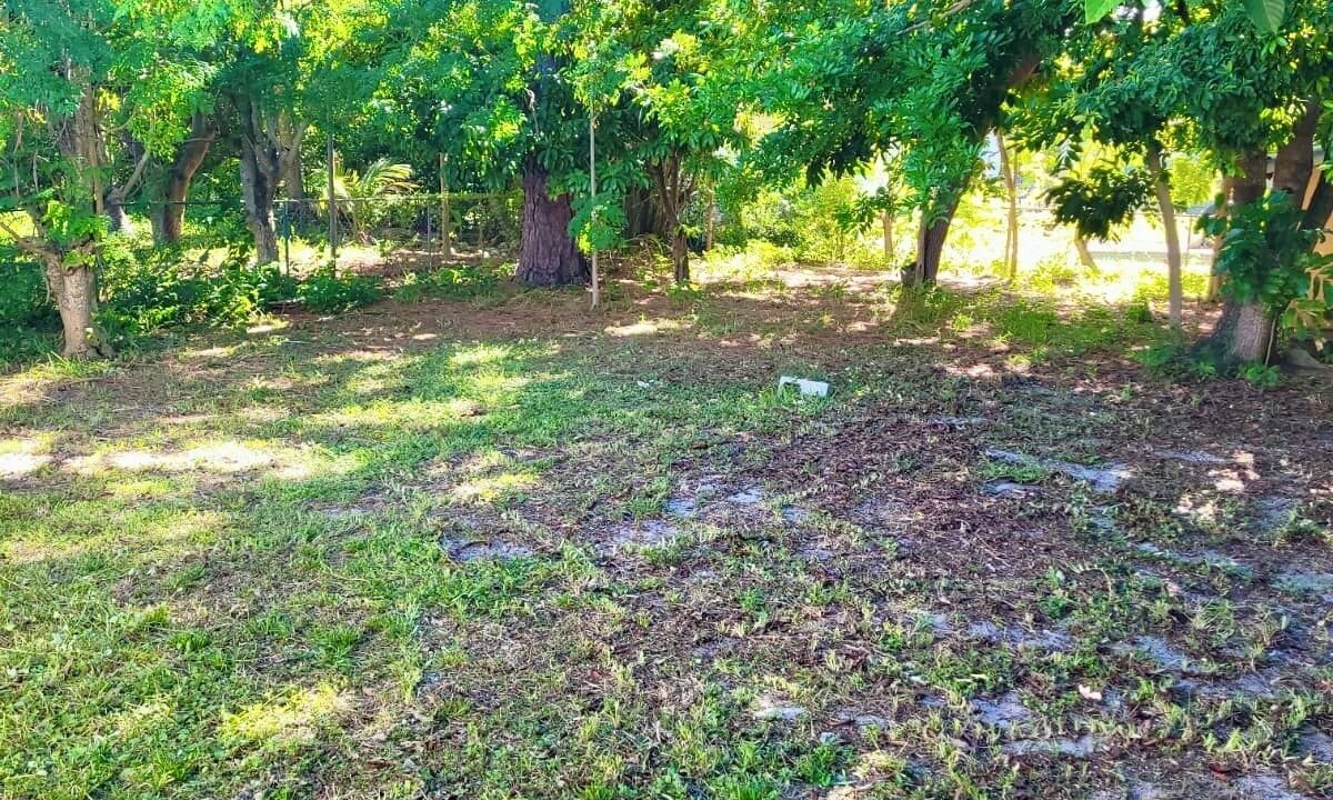 Photo of Outdoor in North Miami Beach