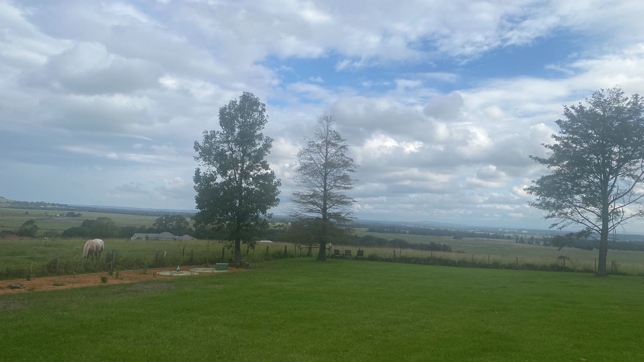 Photo of Others in Jaspers Brush