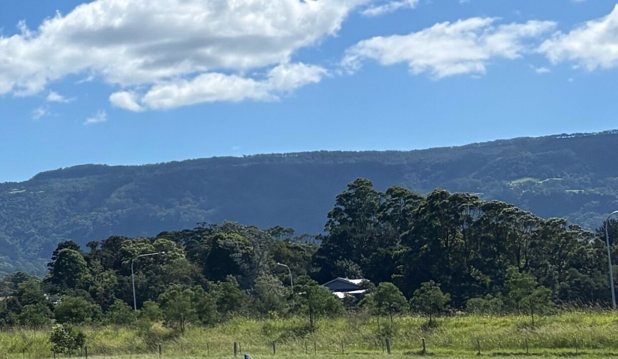 Photo of Others in Jaspers Brush