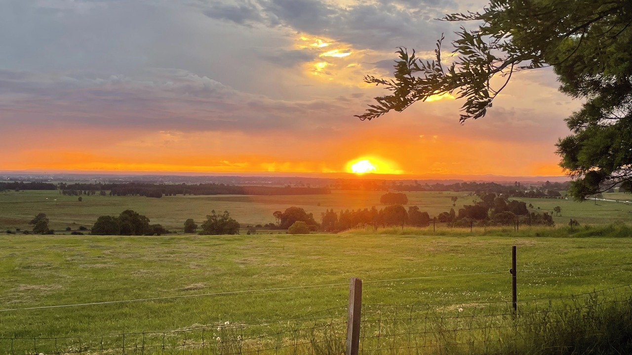 Photo of Others in Jaspers Brush