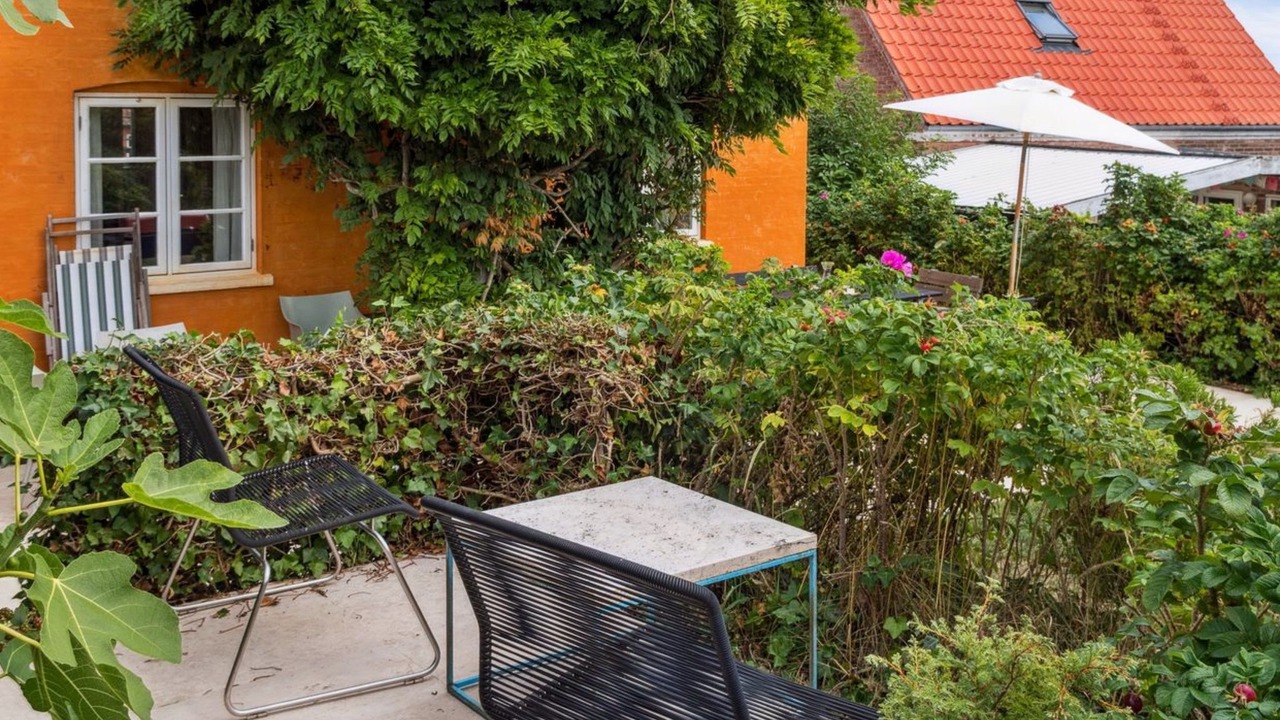 Photo of Others in Svaneke