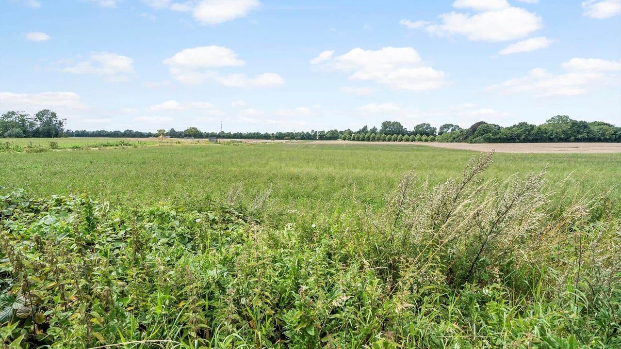 Photo of Others in Togeholt