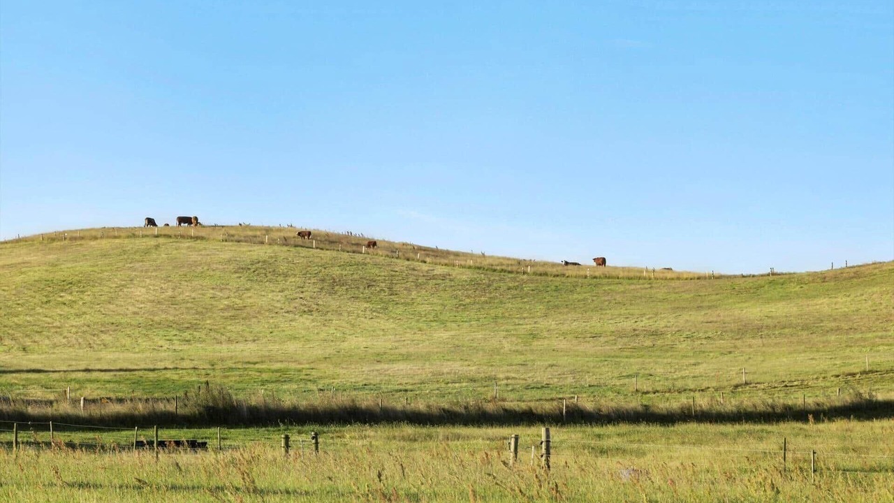 Photo of Others in Ronde