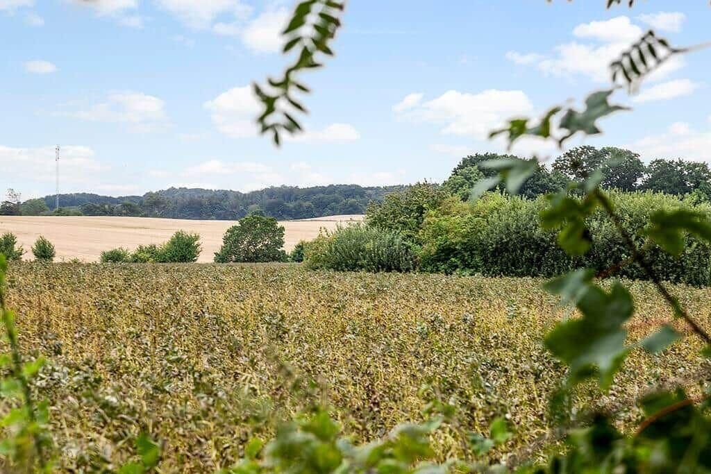 Photo of Others in Vikær Strand