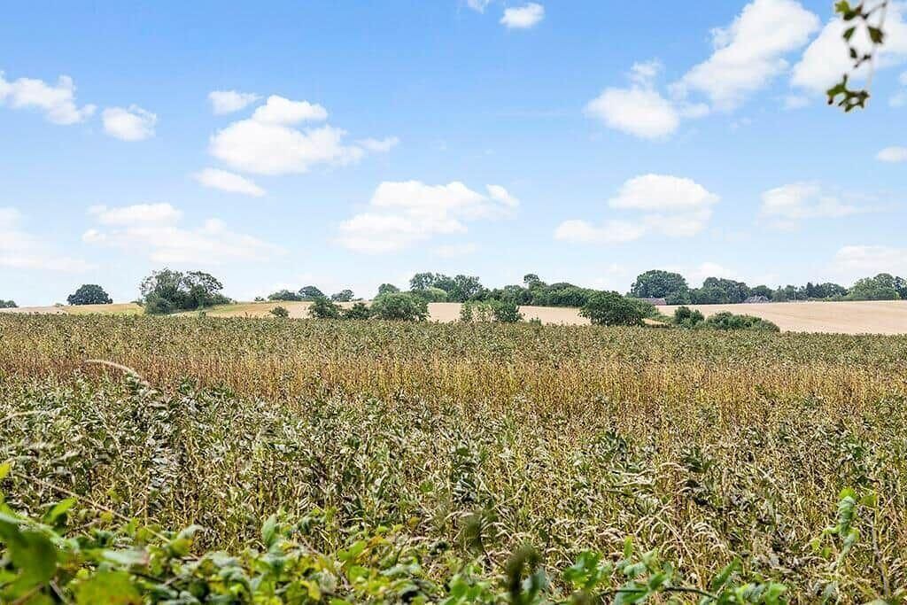Photo of Others in Vikær Strand