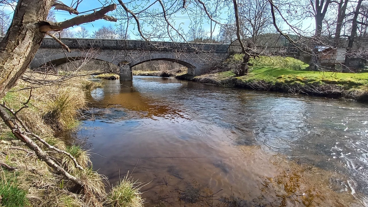 Photo of Others in Eglisolles