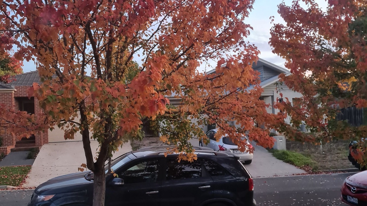 Photo of Outdoor in Ballarat East