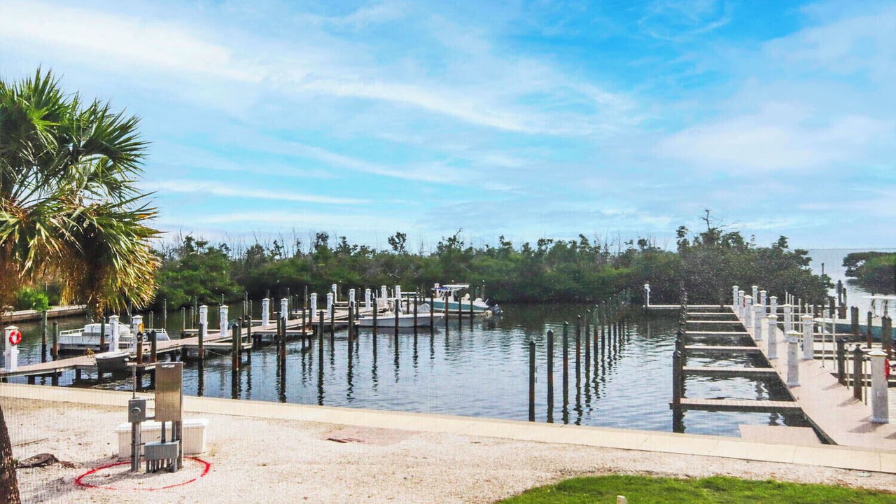 Photo of Others in Captiva