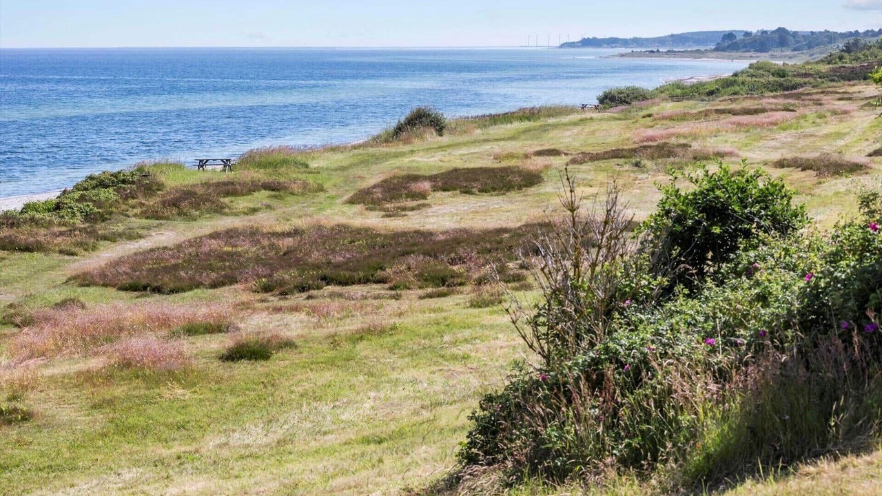 Photo of Others in Allingabro